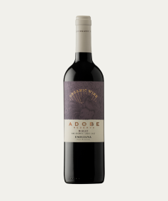 Adobe Merlot 2022