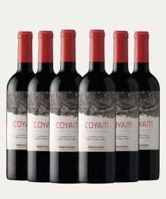Vertical Coyam