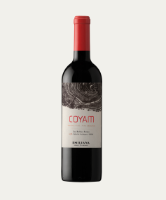 Coyam 2019