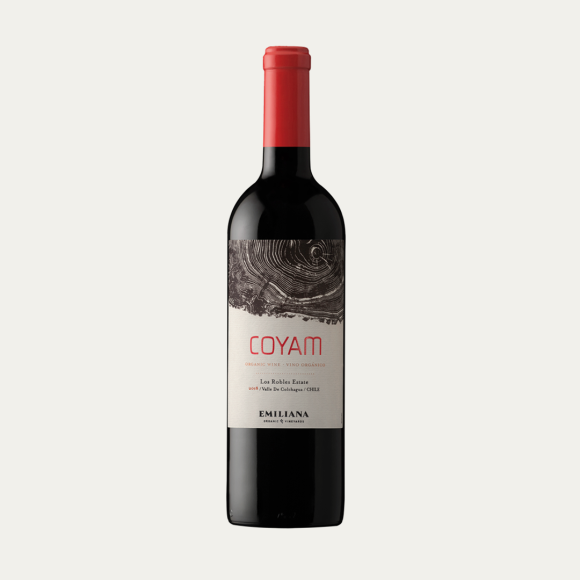 Coyam 2019