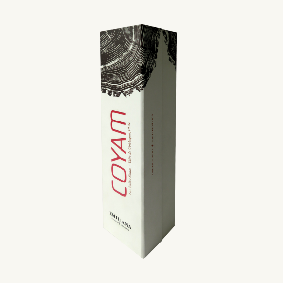 Coyam 2022 - Imagen 2
