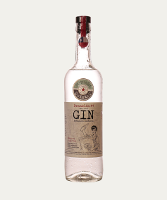 Gin Franklin