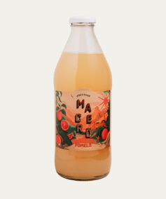 pisco-sour-macero